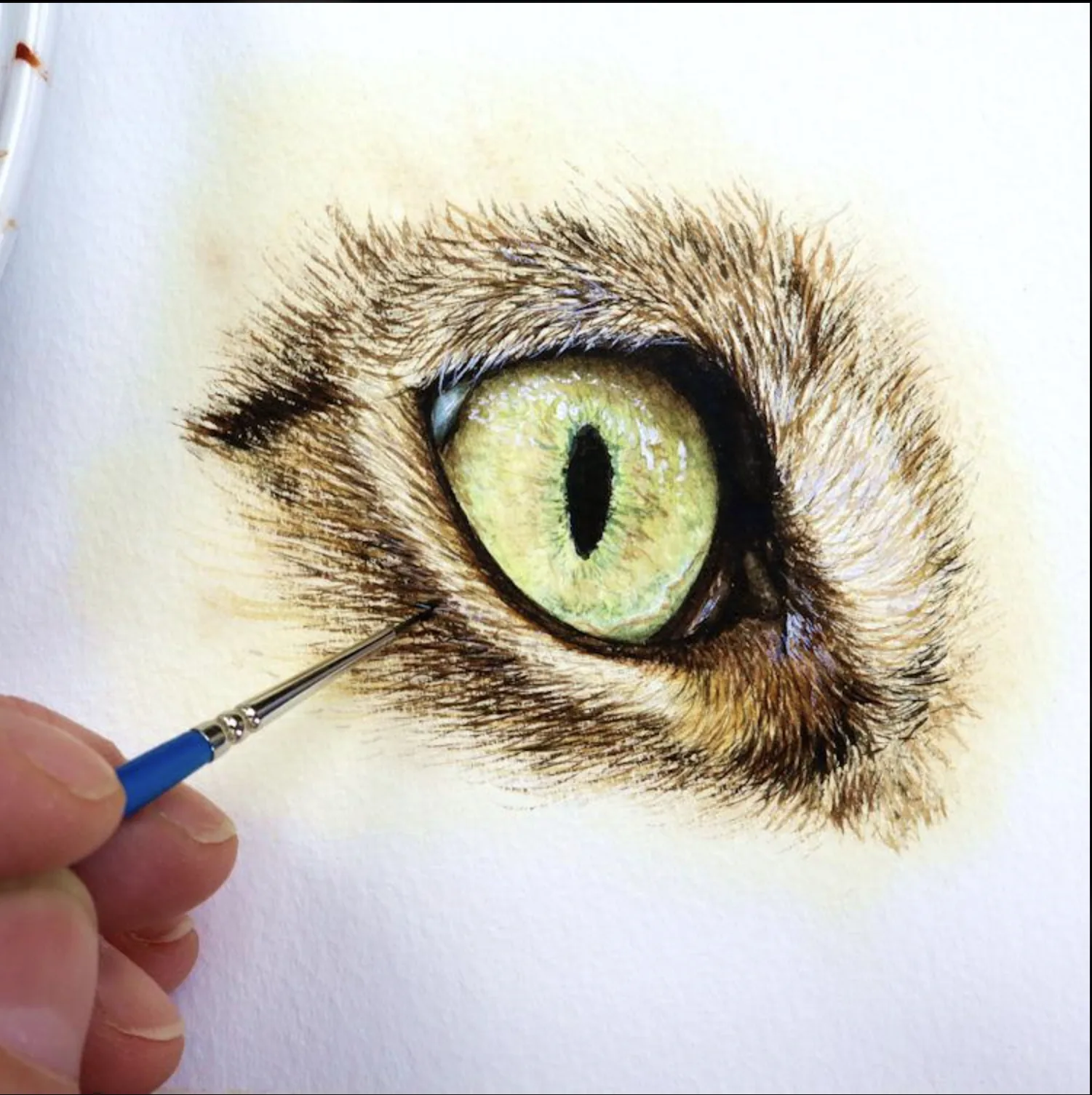 Close-up of an artist hand-painting a pet portrait